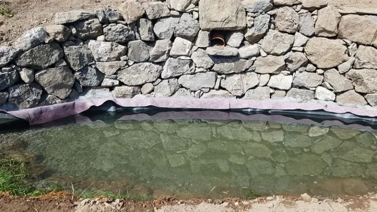 Bassin